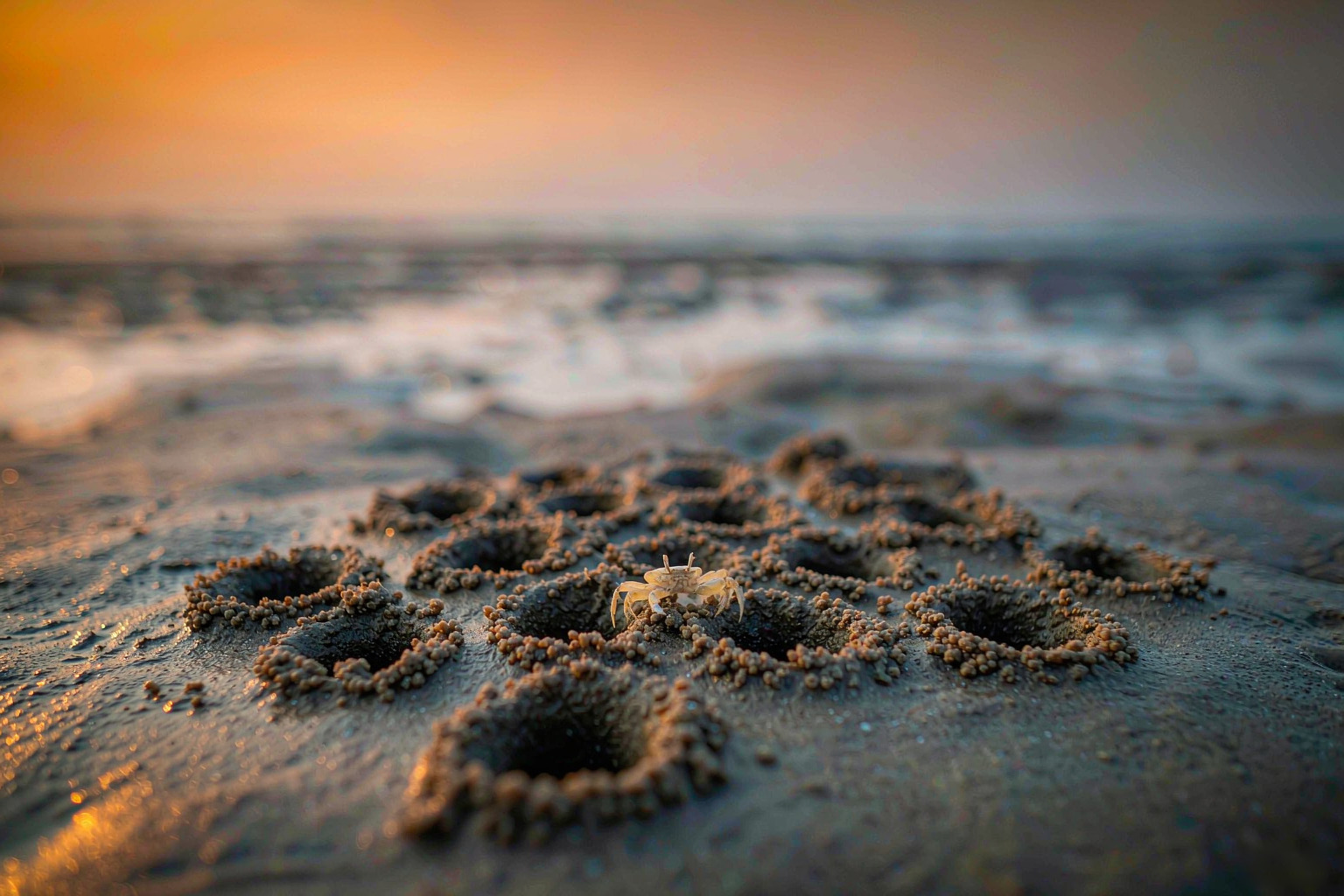 A-Bottle-Full-of-Sea-2